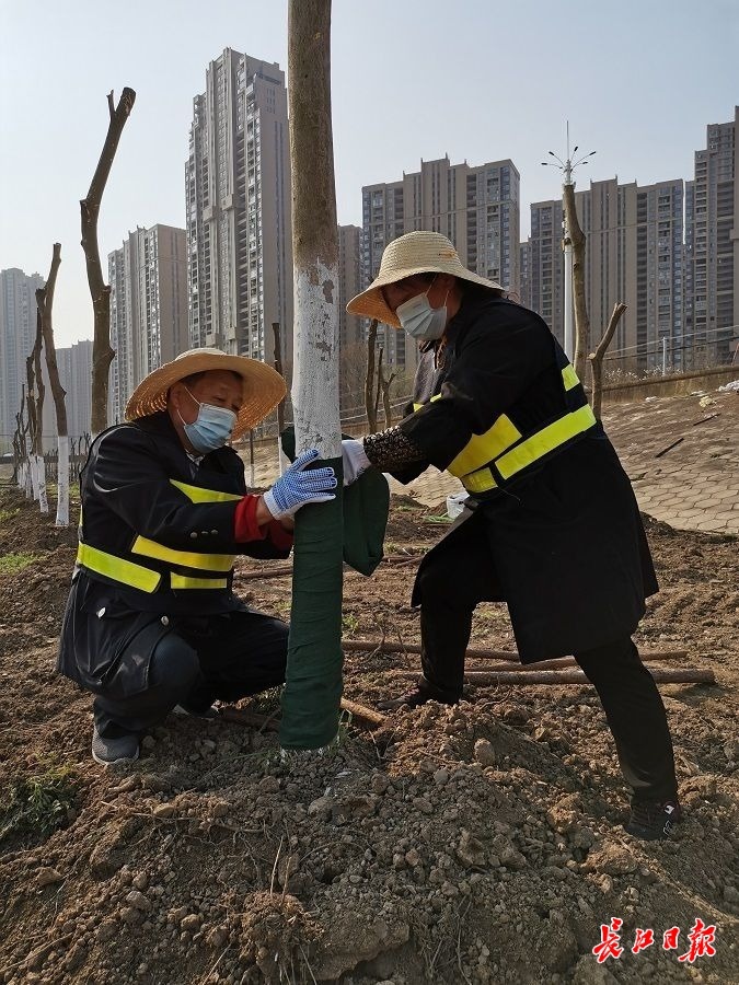 环球国际