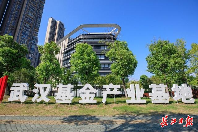 环球国际
