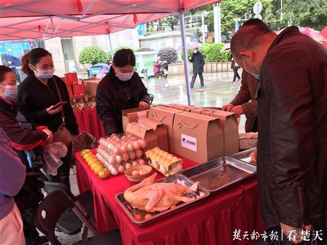 环球国际